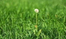 草草网在线观看,畅游影视世界的便捷之门