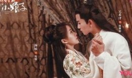 将军家的小娘子电视剧在线观看,穿越时空的甜蜜爱情之旅