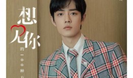 爆料肖战版权事件视频在线观看,揭秘事件背后真相