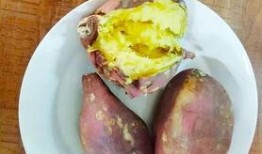 免费吃瓜地瓜,畅享田园美味新体验